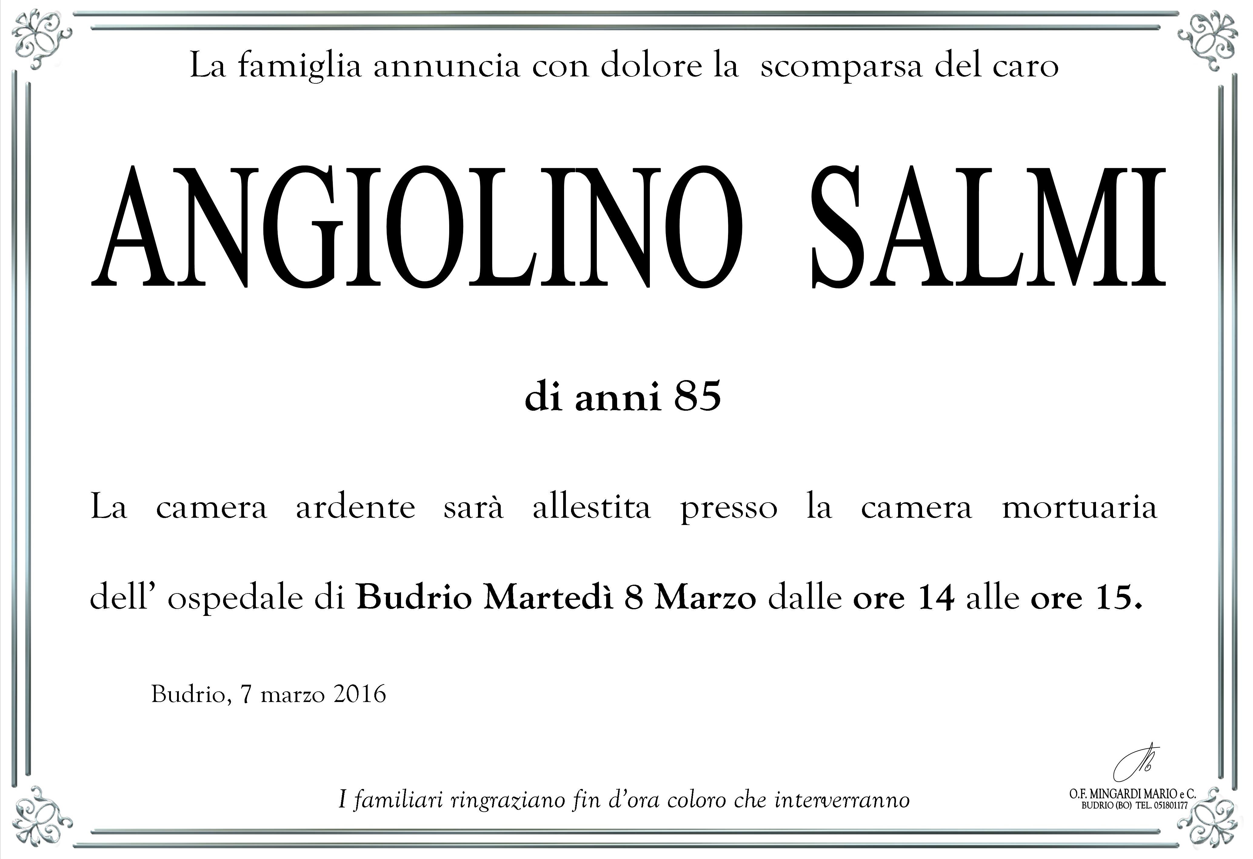 Angiolino Salmi manifesto