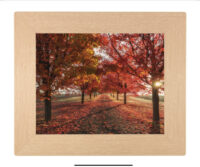 Urna Quadro GS Rovere EM